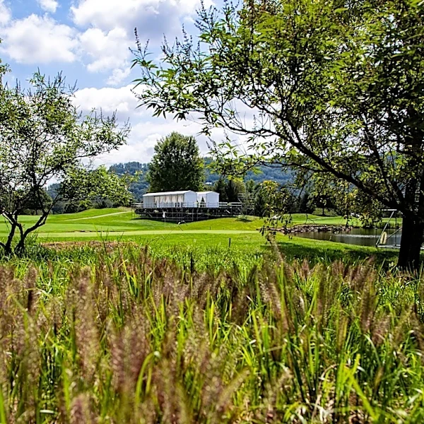 2026 Biltmore Championship Asheville leaderboard, live updates for Saturday's Round 3