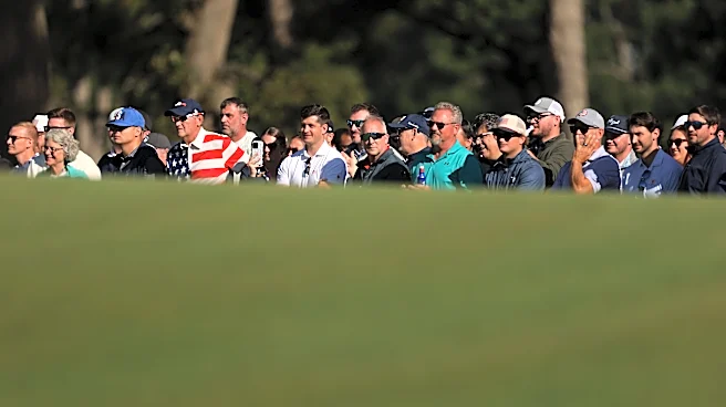 Watch: Fan kicks a golf ball back into play at Presidents Cup