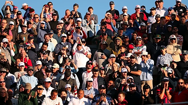 Presidents Cup fan kicks golf ball back into play, reviving memories of infamous Chicago fan moments
