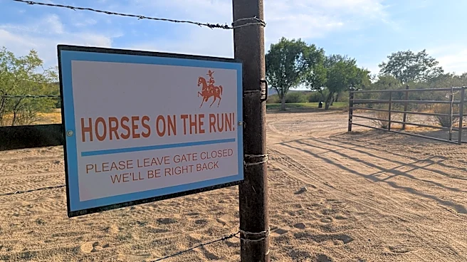 Los Caballeros Golf Club in Arizona is a Western-themed good time