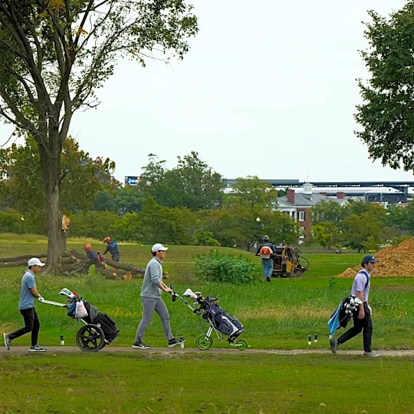 More than 500 trees cut down at D.C. golf course as legal fight over Trump renovation intensifies