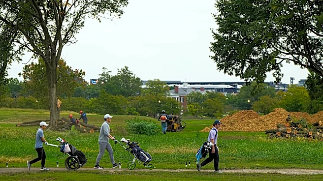 More than 500 trees cut down at D.C. golf course as legal fight over Trump renovation intensifies