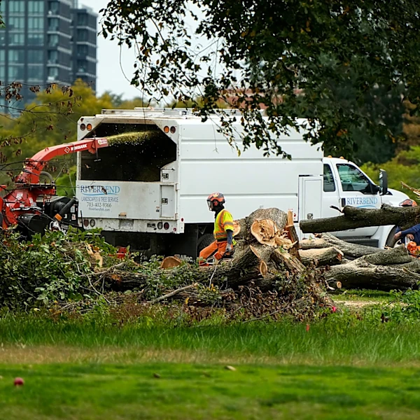 Here's what a 'furious' judge said about Trump administration cutting down 500 trees at D.C. course