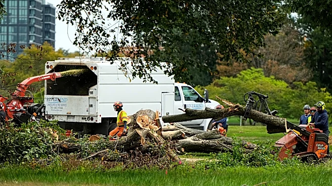 Here's what a 'furious' judge said about Trump administration cutting down 500 trees at D.C. course