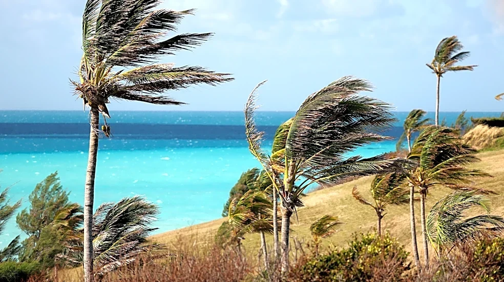 Why pros fear Bermuda's Port Royal golf course, the Bristol Speedway of the PGA Tour