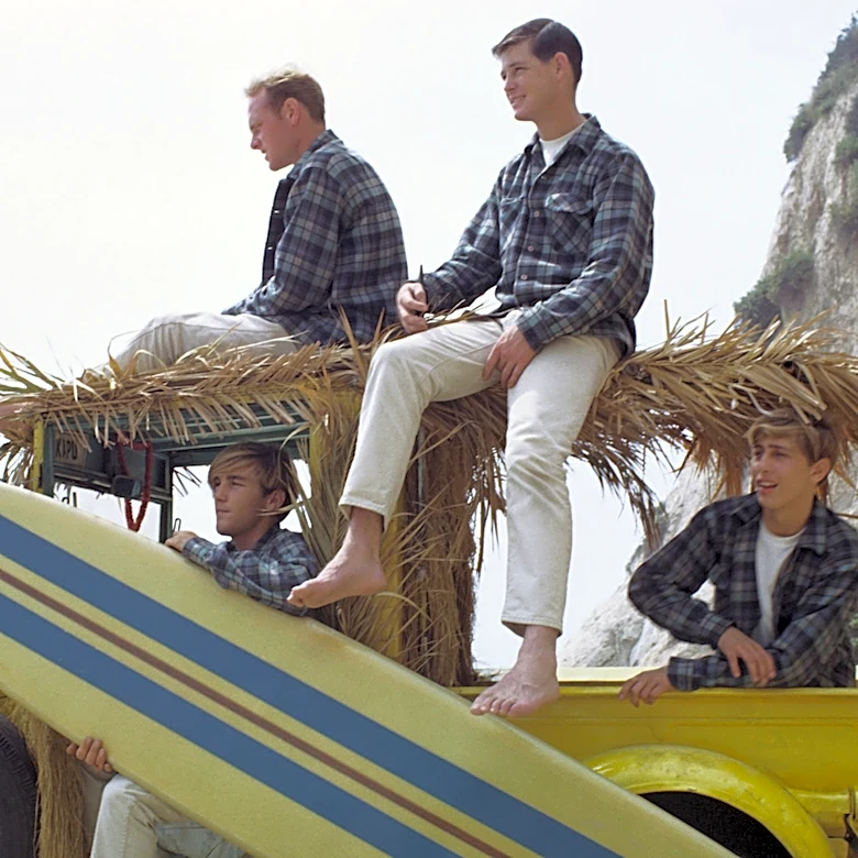 The 5 Best Beach Boys Songs That Aren't Good Vibrations
