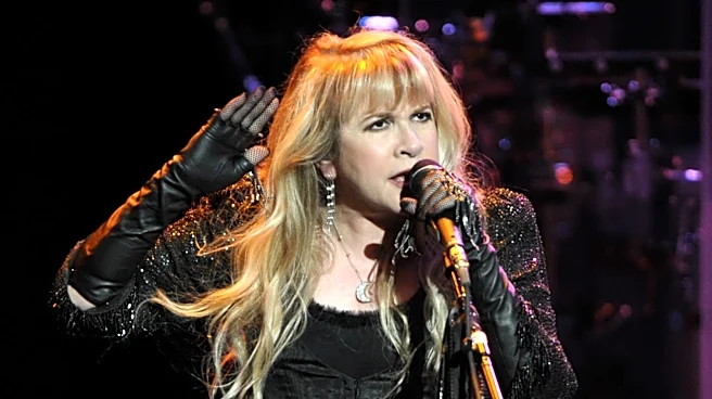 5 Stevie Nicks Breakup Songs Besides Silver Springs That Fans Don't Talk About Enough