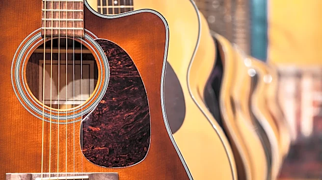 What Is The Best Acoustic Guitar For Beginners?