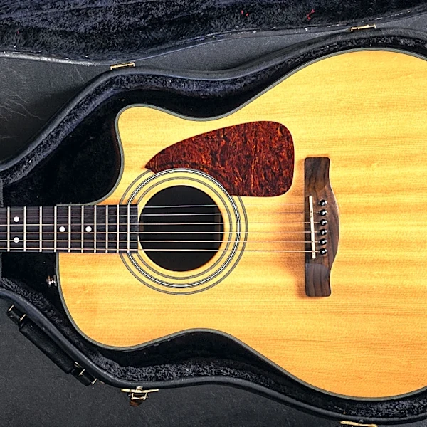Can Sudden Temperature Changes Damage Your Guitar — Even If It's In A Case?
