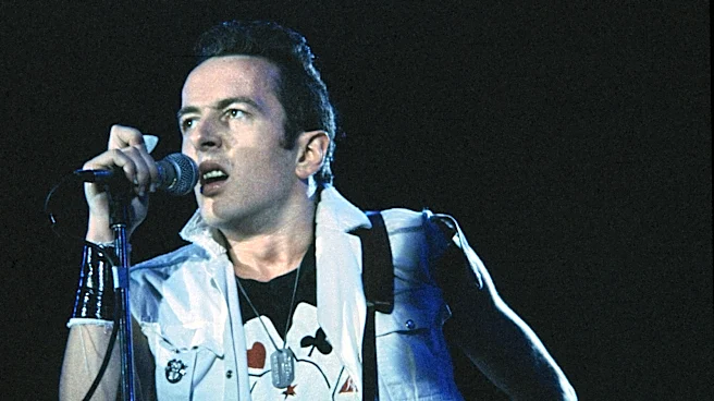Quote Of The Day By Joe Strummer: 'When You Blame Yourself ...'