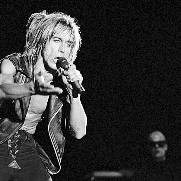 5 Proto-Punk Classics Every Rock Fan Should Know
