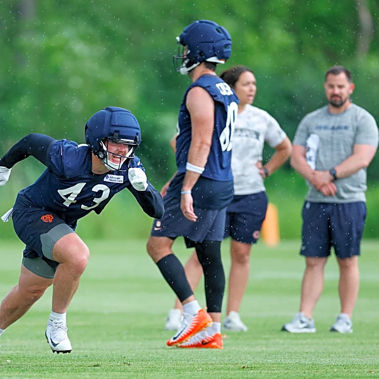 Bears place former Iowa football TE Hayden Large on injured reserve