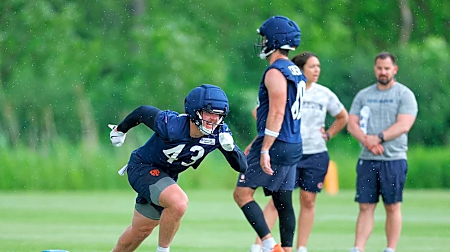 Bears place former Iowa football TE Hayden Large on injured reserve