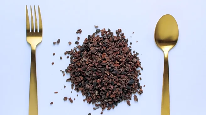 Nutrient-Packed Superfoods You Should Be Eating More Of