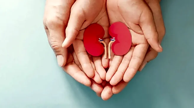 Not Just Food: 11 Household Toxins That Are Stressing Your Kidneys