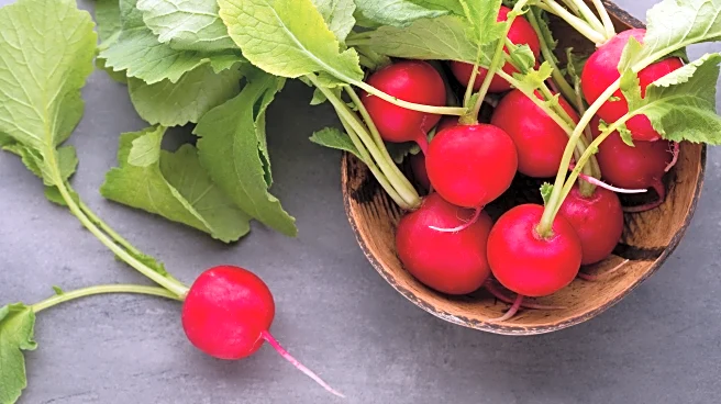 Weird but Wonderful Foods That Naturally Detox Your Body