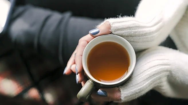 The Winter Weight Trap: 5 Reasons Your Metabolism Slows Down When It Gets Darker