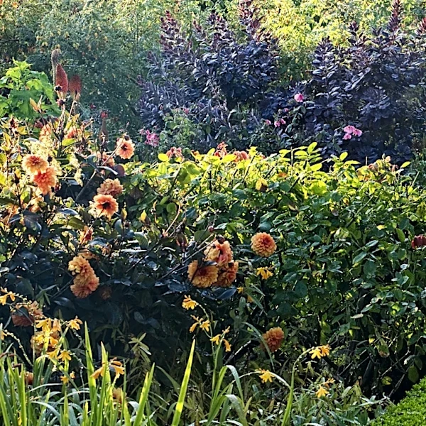 Goodbye Minimalism — The Centuries-Old Garden Trend That's Making A Comeback In 2026