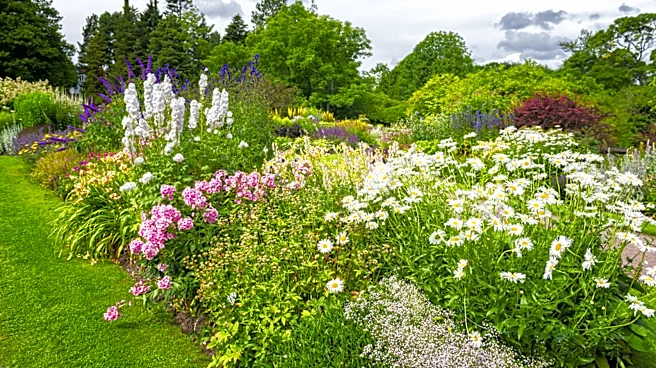 The Popular Low-Maintenance Flower You'll Never Need To Deadhead