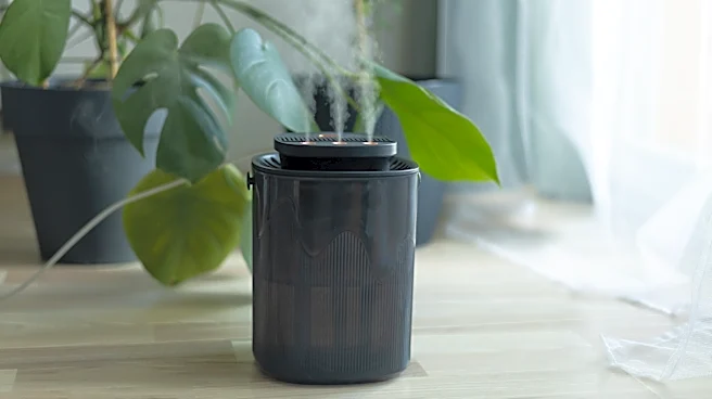 How Often Do I Need To Replace The Water In A Humidifier?