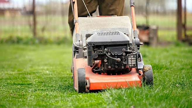 The Best Lawn Mower Setting To Use If You Have Kentucky Bluegrass