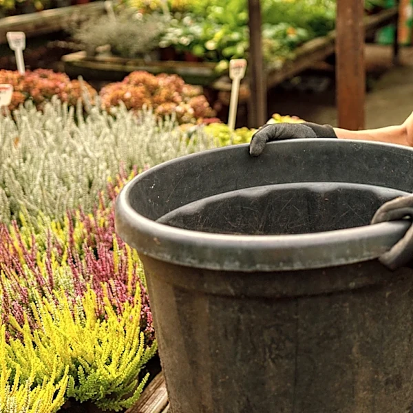 Don't Toss That Old Nursery Pot: The Clever Way You Could Be Using It In The Garden