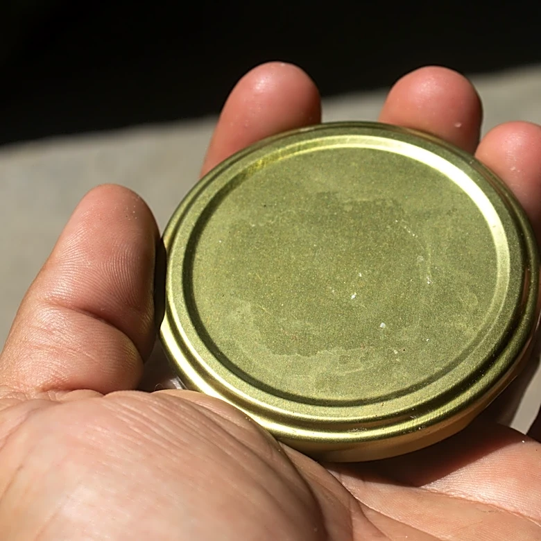 Repurpose Jar Lids Into A Unique DIY Privacy Solution For Your Yard