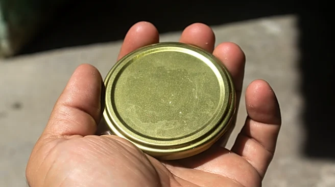 Repurpose Jar Lids Into A Unique DIY Privacy Solution For Your Yard