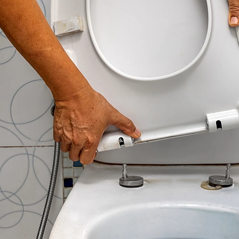 What's The Average Lifespan Of A Toilet Seat?