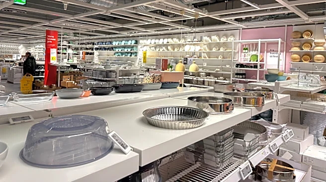 Cheaper Than Dollar Tree Baskets: IKEA's Organizer Zaps Away Clutter For 29 Cents