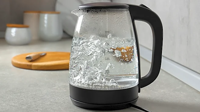 Why There's Simply No Need For An Electric Kettle In Your Kitchen