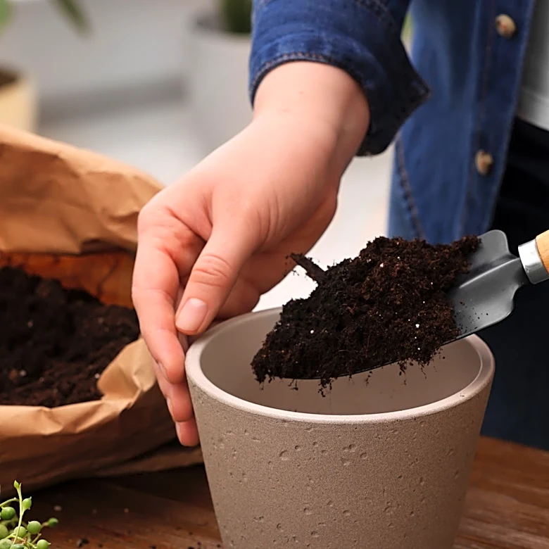 DIY An Edgy Concrete Planter With Five Easy To Find Items