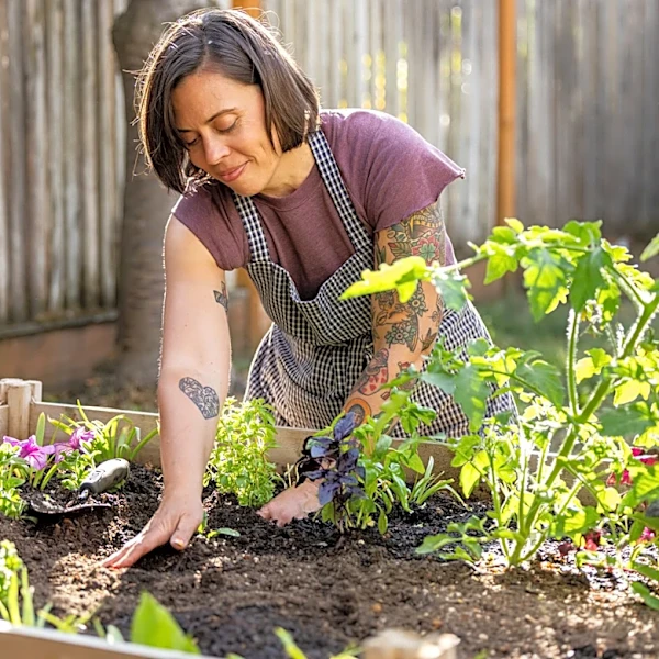 Use Old Water Bottles To Create An Eco-Friendly Raised Garden Bed With A Smart DIY