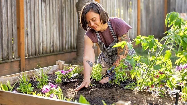 Use Old Water Bottles To Create An Eco-Friendly Raised Garden Bed With A Smart DIY
