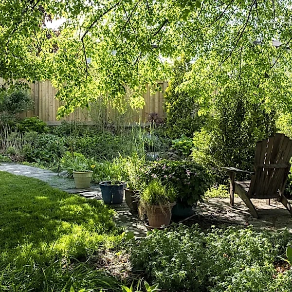 Skip The Hostas: There's Another Shade Plant To Add Color To Flower Beds
