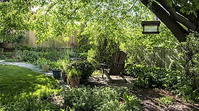 Skip The Hostas: There's Another Shade Plant To Add Color To Flower Beds