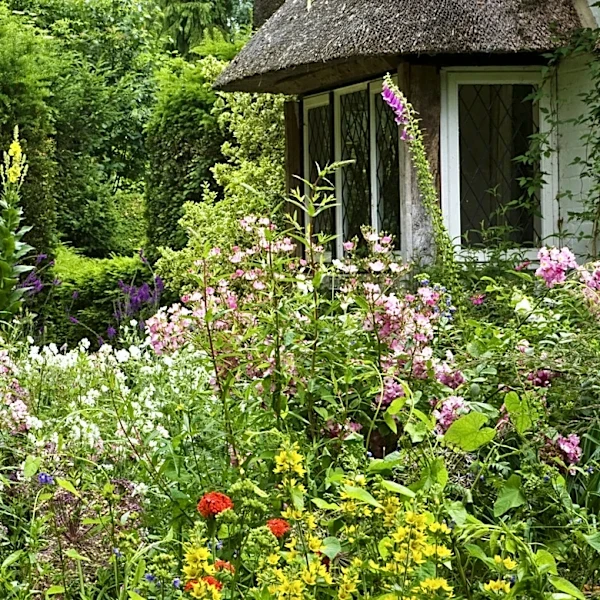 Don't Let Its Sweet Smell Fool You: The Pretty Herb You Don't Want Near Your Home
