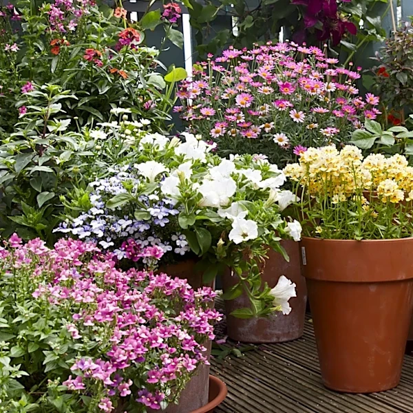 Aldi's Bringing Back A Fan-Favorite Planter That Adds Whimsy To Your Patio