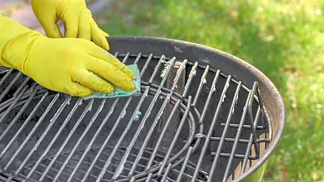 Not Vinegar Or Baking Soda: Clean Grimy Grill Grates With The Help Of A Kitchen Essential