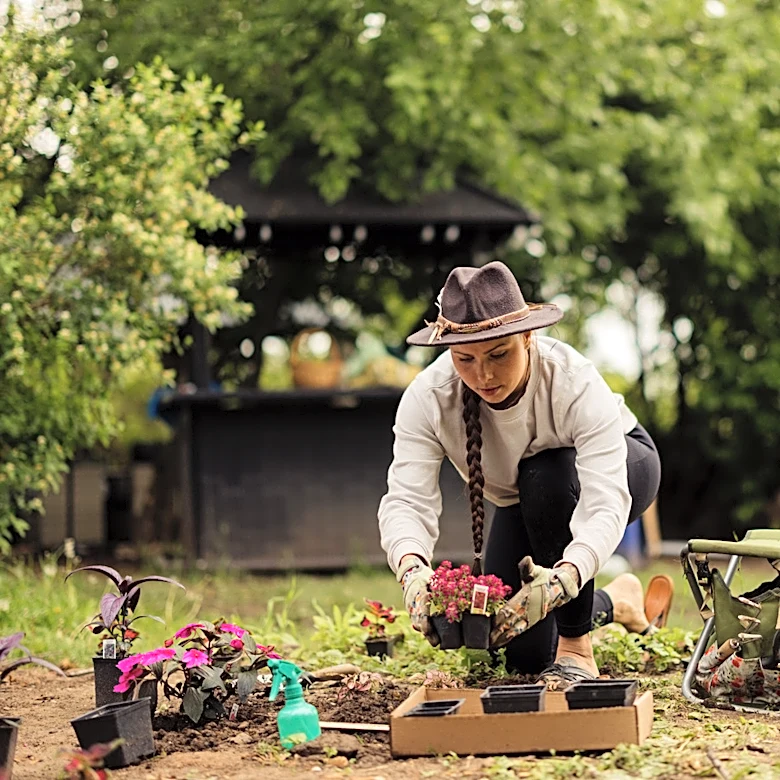 The Beautiful Flower That Can Replace Peonies — It's Hardy And Easy To Grow