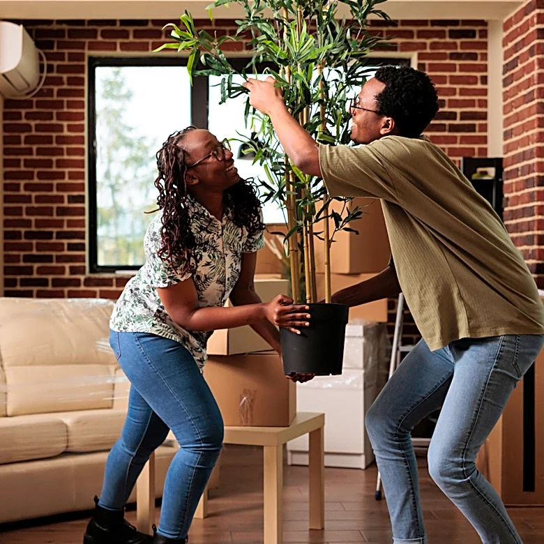 Amazon's Affordable Planter Solution Makes Moving Large Pots A Breeze