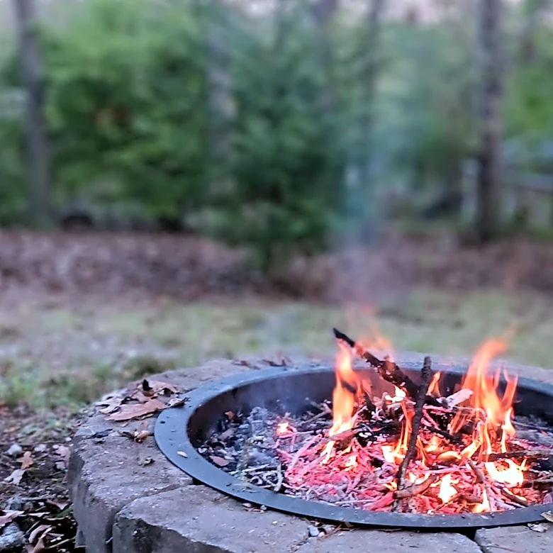 Don't Let Its Beauty Fool You: The Flammable Tree You Might Not Want In Your Garden