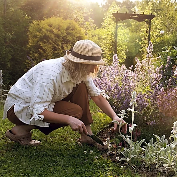 It Originated In Germany Centuries Ago: The Garden Trend That's Back In 2026