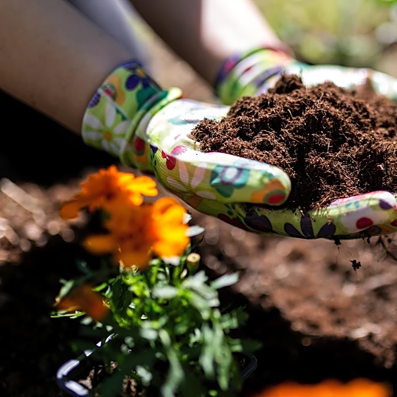 Not Coffee Grounds, Not Banana Peels, The Kitchen Scrap Your Compost Will Love