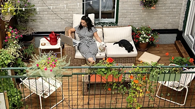 Upcycle An Old TV Tray Into A Simple Plant Stand For Your Patio