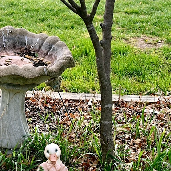 Upcycle An Old Bird Bath Base Into An Adorable Water Feature