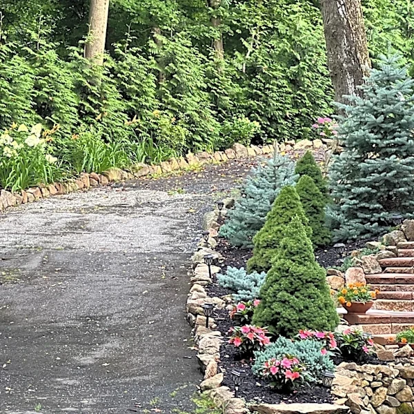 Not Brick, Not Pavers: The Yellow Flowering Shrub That'll Beautifully Edge Your Driveway