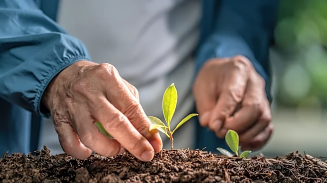 Not English Ivy: The Less Invasive Alternative For Your Yard