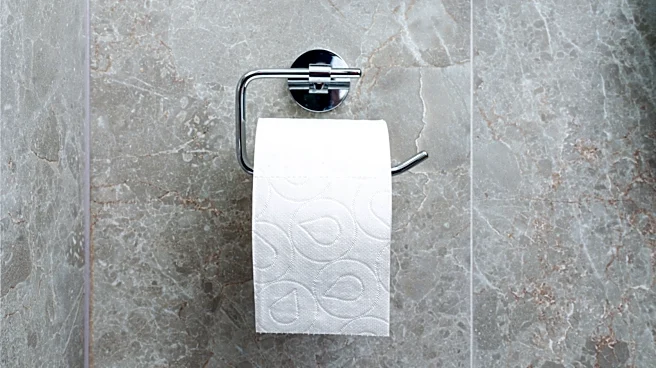 Forget Boring Toilet Paper Holders — There's A Boho-Chic Alternative You Can DIY