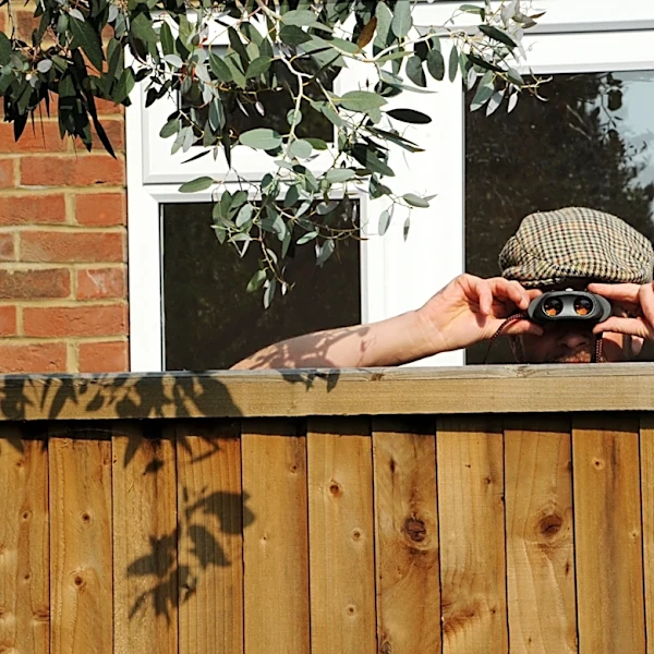 The Natural Way To Add Privacy To Your Yard Without Fences Or Screens